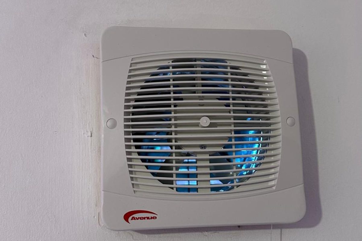 WhatsApp Image 2026-02-14 at 19.03.03