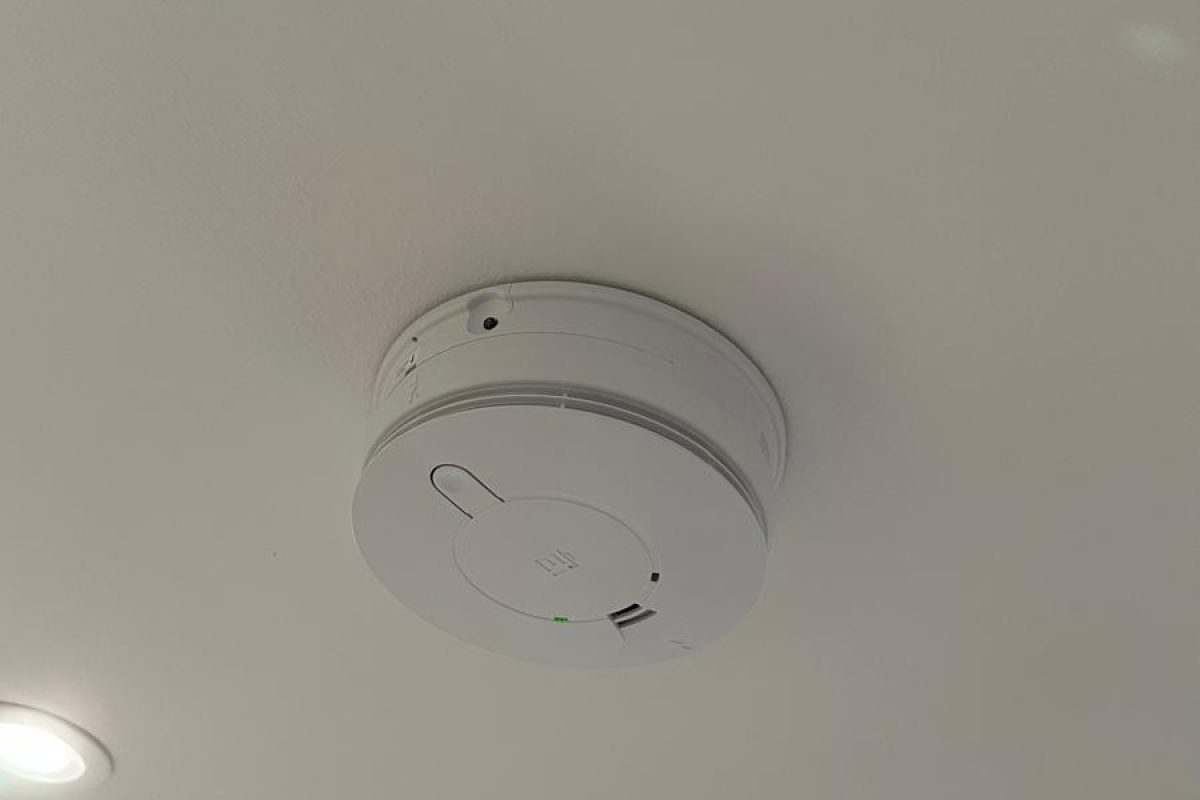 WhatsApp Image 2026-02-14 at 19.03.09 (13)