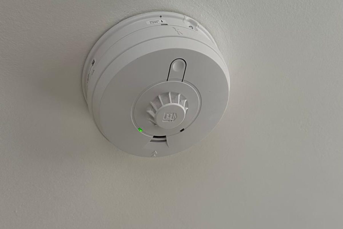 WhatsApp Image 2026-02-14 at 19.03.09 (14)